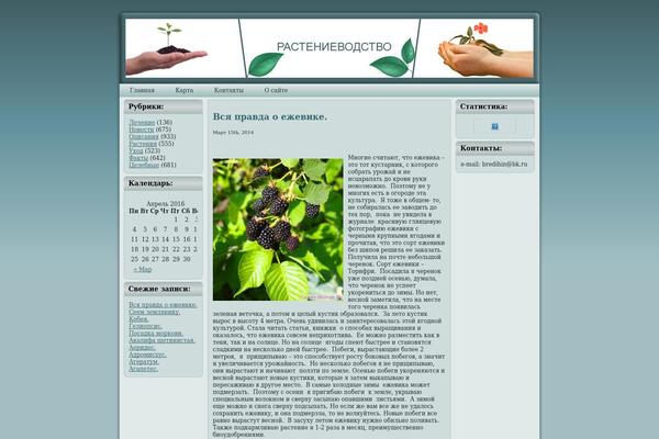 City Finance theme site design template sample