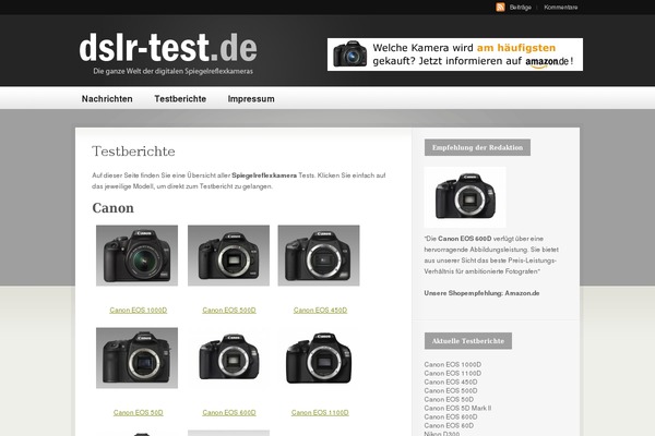 Busy Bee theme site design template sample