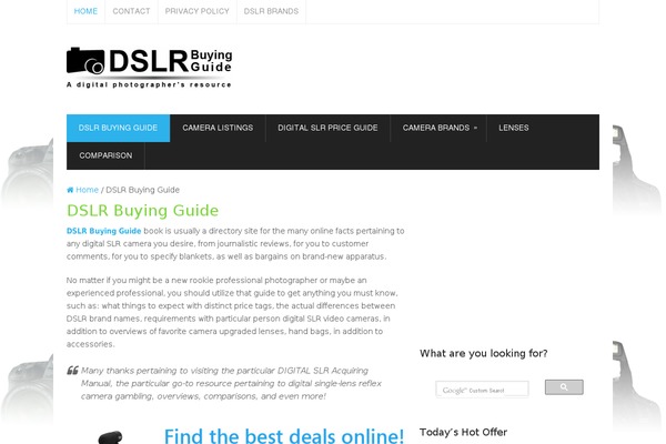 Splash theme site design template sample