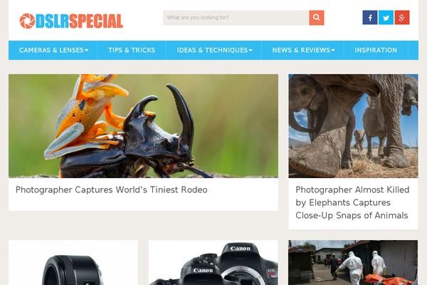 SociallyViral theme site design template sample
