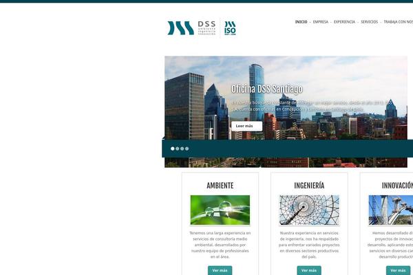 Dss theme site design template sample