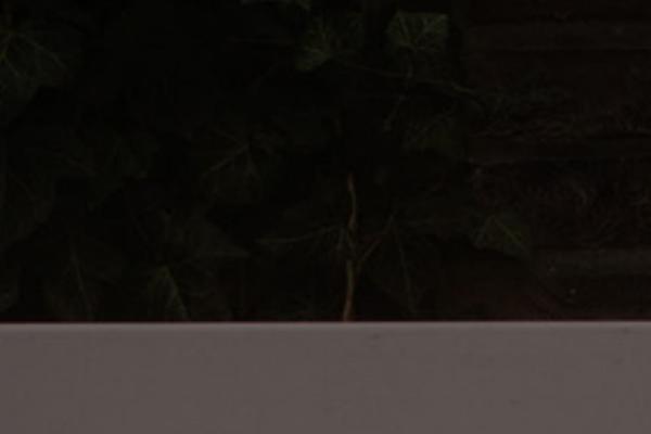 Site using Remove Google Fonts References plugin