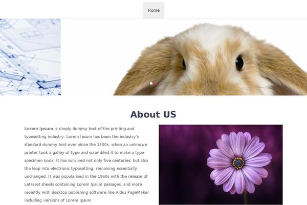 Pitch theme site design template sample