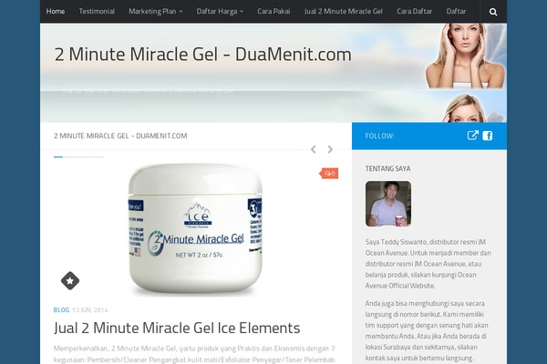 Hueman theme site design template sample