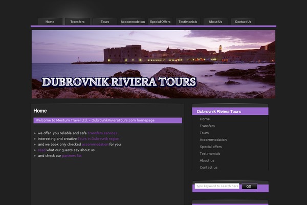 Blue-black theme site design template sample