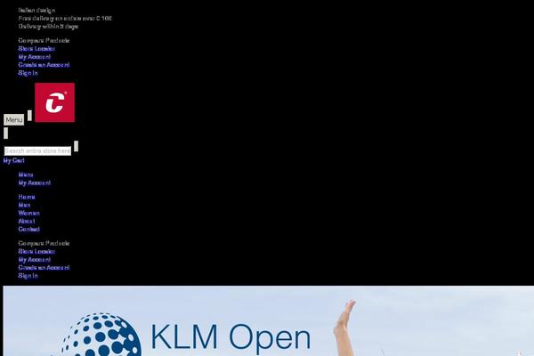 Site using WordPress Language plugin