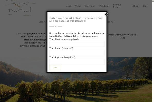 Vino theme site design template sample