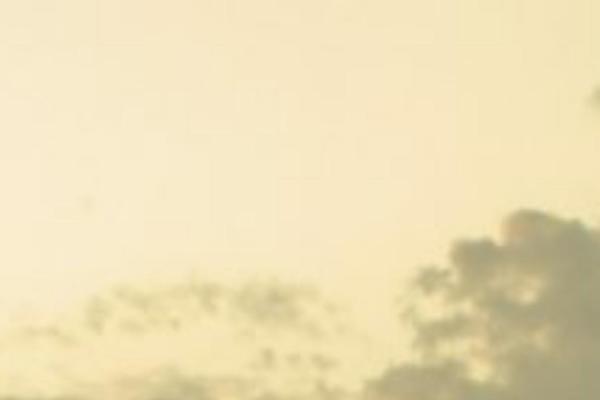 Twenty Seventeen theme site design template sample