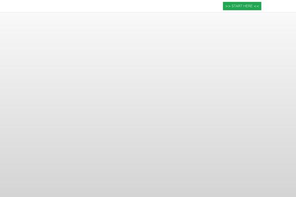 Focusblog theme site design template sample