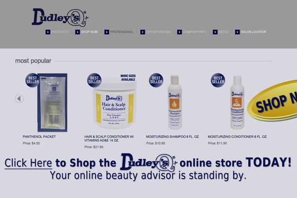 dudleyq.com site used Theme1883