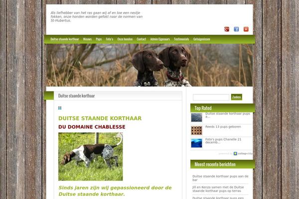 Blogolifepro-child theme websites examples