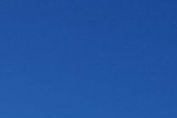 Nest theme site design template sample