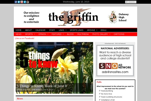 Sno Flex theme site design template sample