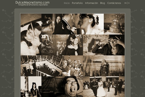 Simplefolio theme site design template sample