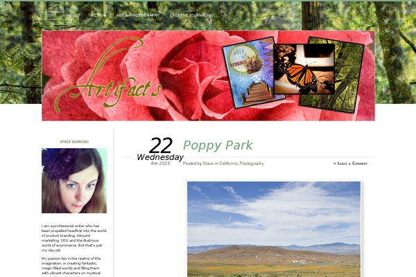 dumoski.com site used Chateau Theme