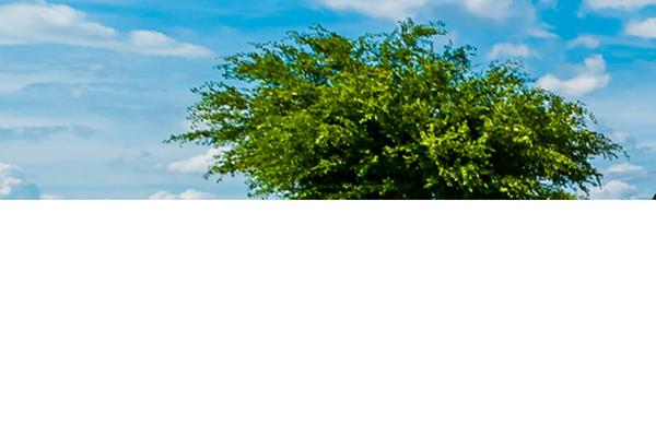Site using Superb-blocks plugin