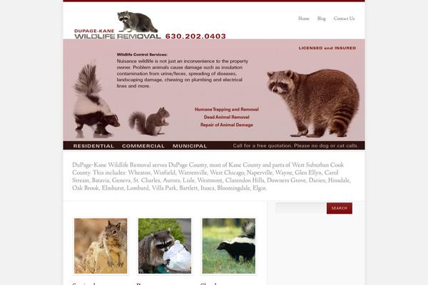 Echelon theme site design template sample