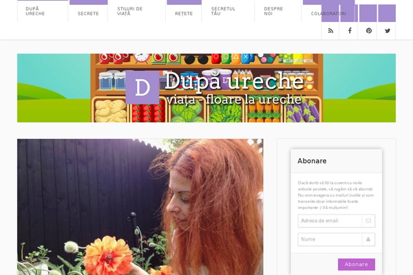 Site using Codenovo Portfolio plugin
