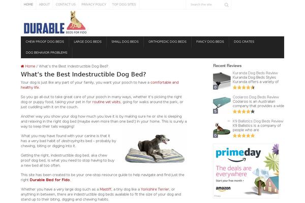 Splash theme site design template sample