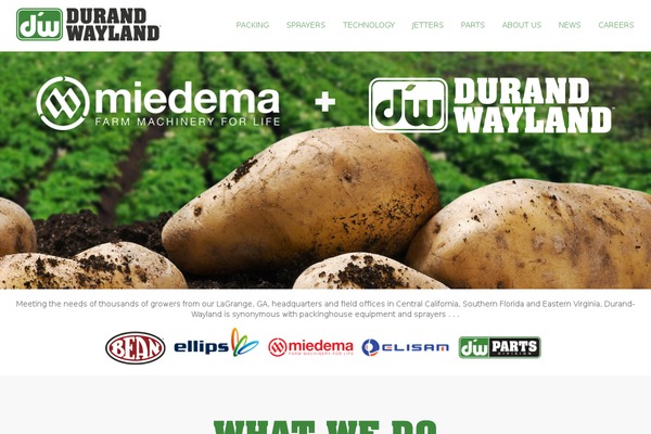 Dw theme site design template sample