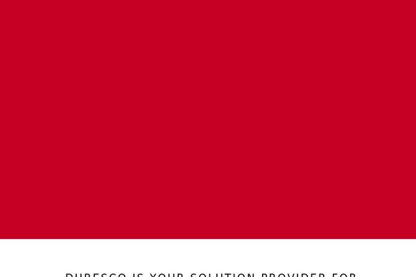 Site using Polylang plugin