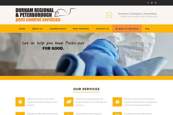 Structure theme site design template sample