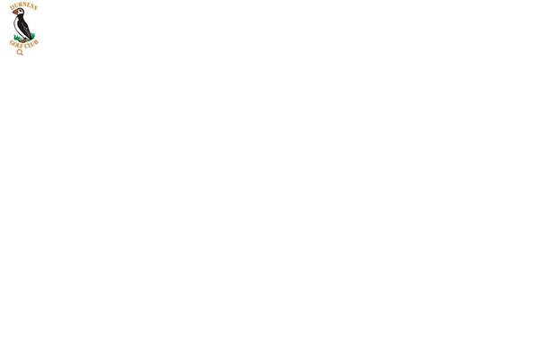 Site using Borderless plugin