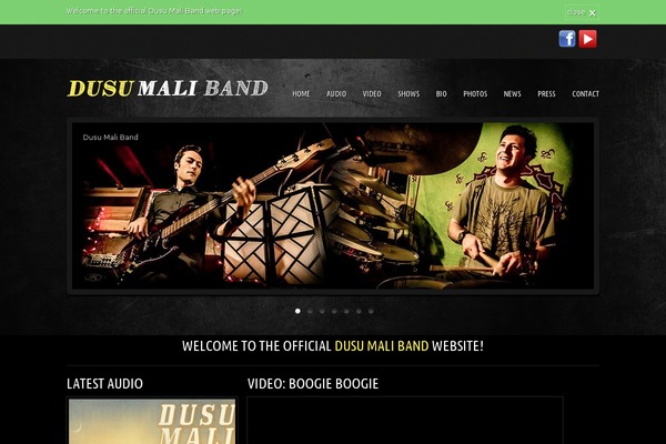 Musicpro theme site design template sample