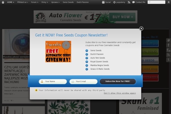 Rule theme site design template sample