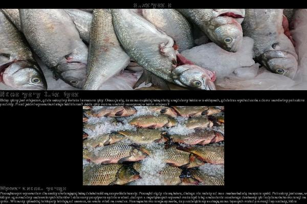 Twenty Twenty-One theme site design template sample