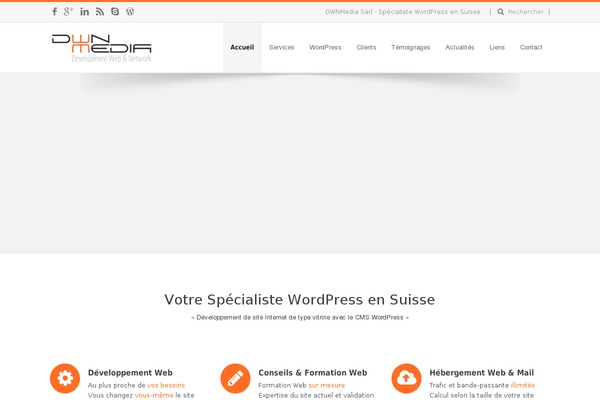 Fiction theme site design template sample