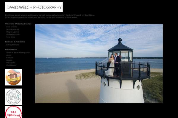 raygun theme websites examples