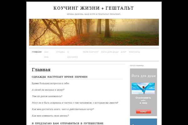 Site using WP Social Widget plugin