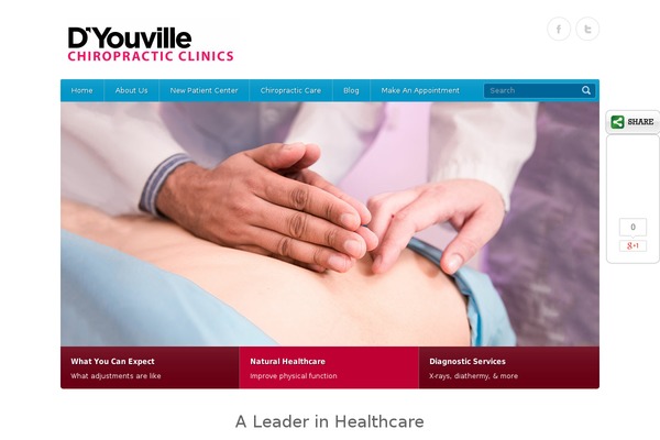 Healthpress Theme theme site design template sample