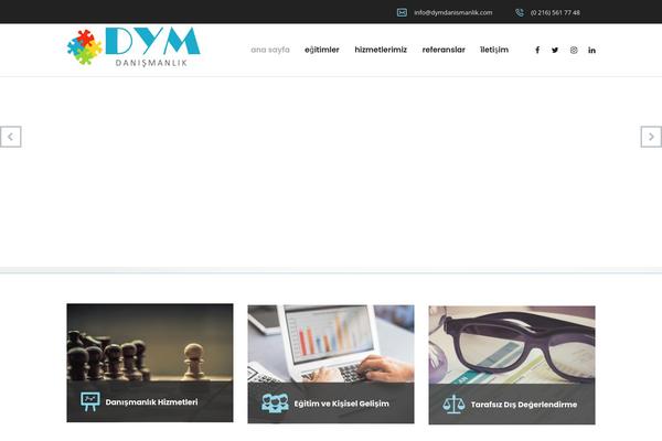 Consulting theme site design template sample