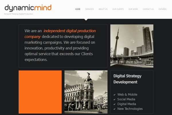 dynamicmind.com site used Tg