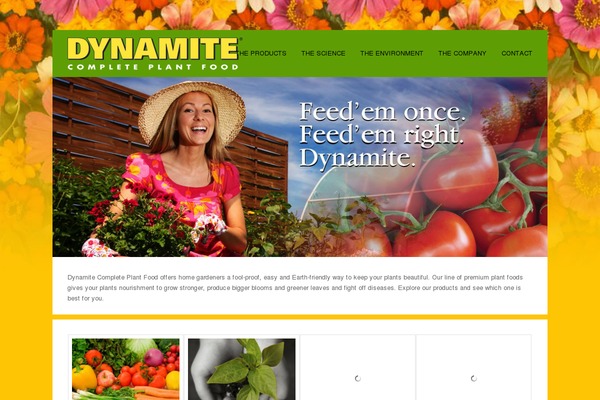 Coherence theme site design template sample