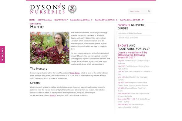 Choices theme site design template sample