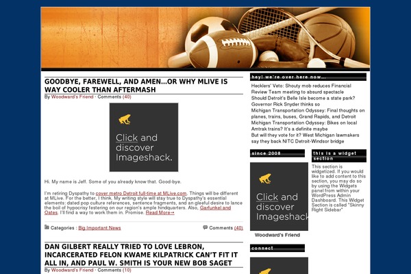 dyspathy.com site used Flexxsportsfan