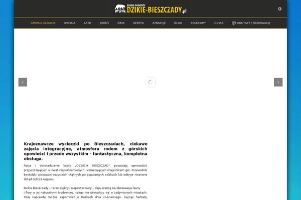 Site using Arscode-social-slider-v3.3.1 plugin