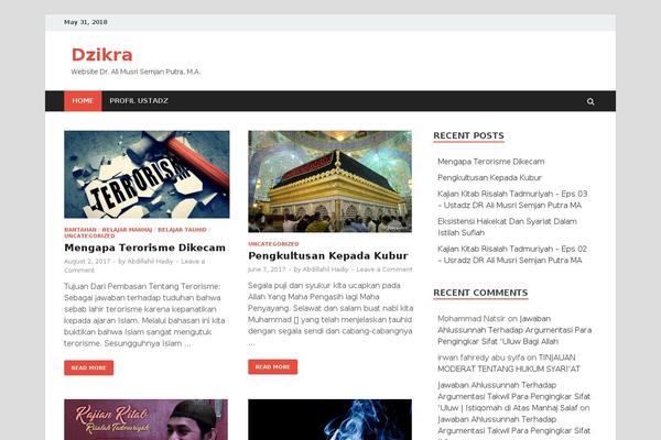 Islemag theme site design template sample