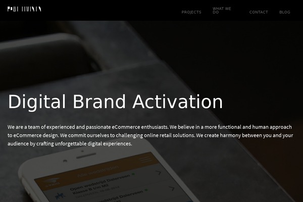 Parallax Pro theme site design template sample