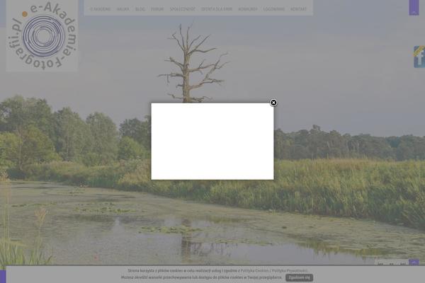 Invictus_3.3.1 theme site design template sample