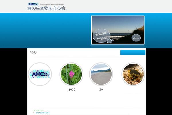 Poloray theme site design template sample