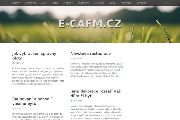Catch Adaptive theme site design template sample