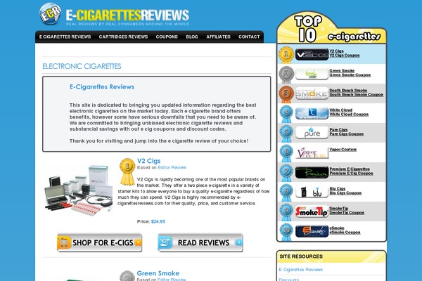 Wisebusiness theme site design template sample