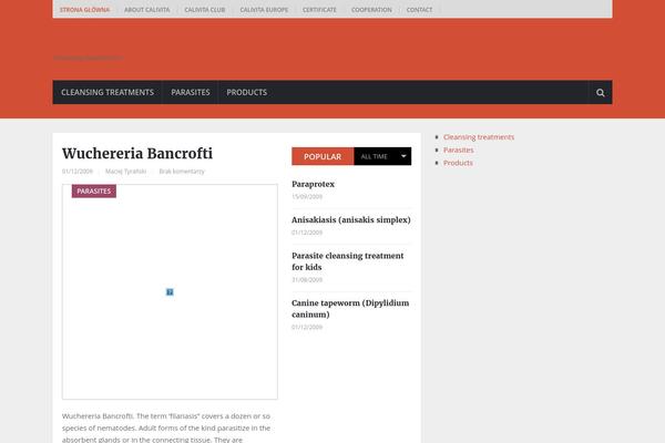 NewsOnline theme site design template sample