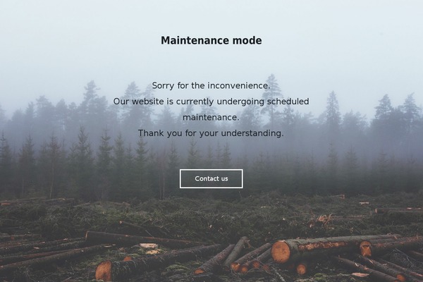rt_modulus_wp theme websites examples