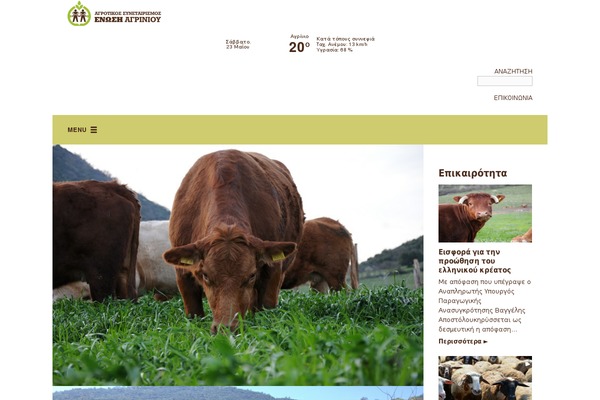 eas theme websites examples