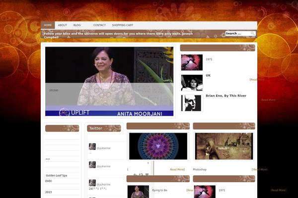 Antisnews theme site design template sample
